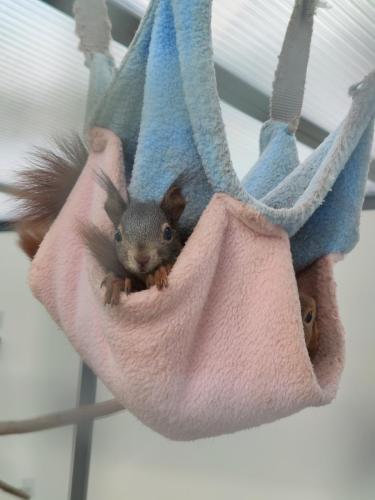 1662814042063 IMG20220519190743