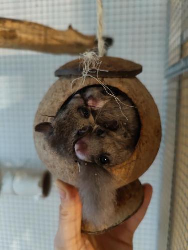 Wenn platzsparend ein Foto wäre.