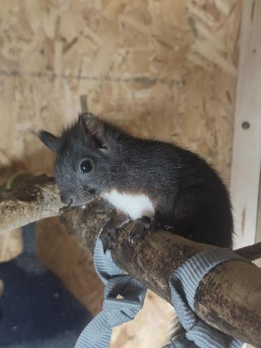 1662814521147 IMG20210713095440